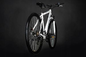 KS Cycling Rower górski MTB Heist 29" 11