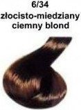 Cece Farba do włosów CeCe Color Creme 6/34 Złocisto-miedziany ciemny blond 2
