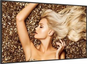 Monitor BenQ SL5502K (9H.F67PK.NA6) 2