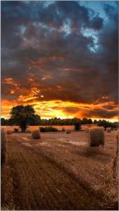 Monitor Samsung VM55T-U (LH55VMTUBGBXEN) 4