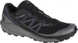 Salomon Salomon Sense Ride 4 GTX 413071 Czarne 48 1