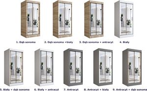Elior Szafa przesuwna w kolorze biały + antracyt - Edna 2X 7
