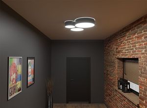 Lampa sufitowa Lumes Czarny okrągły plafon sufitowy - EXX215-Arens 3