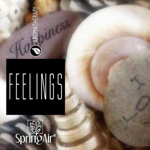 SpringAir SpringAir Odświeżacz powietrza Ultra Scent, 500 ml Feelings 2