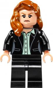 LEGO DC Super Heroes Bitwa powietrzna (76046) 10