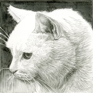 BRUYNZEEL SAKURA Sakura Pigma 03 Micron Cienkopis 49 Black 0,35mm 6