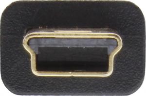 Kabel USB InLine USB-A - miniUSB 5 m Czarny (31850P) 2