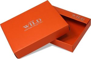 Always Wild Atrakcyjny, skórzany portfel męski z mosiężnym łańcuchem Always Wild Nie dotyczy 11