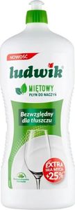 Inco Ludwik Płyn Do Mycia Naczyń Mięta 1,35kg.. 1