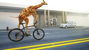 MalTrack Rower górski MTB MalTrack TEAM ORANGE 26" 12