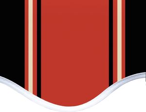 vidaXL Zapasowa tkanina na markizę, pomarańczowo-brązowa, 5x3,5 m 5