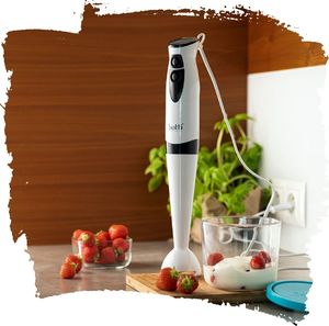 Blender Botti Vendi 2