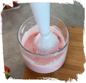 Blender Botti Vendi 5