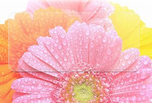 Szkło Hartowane XIAOMI MI 10T / MI 10T PRO 6