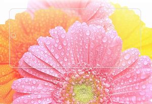 Szkło Hartowane SAMSUNG GALAXY A52 5G 7