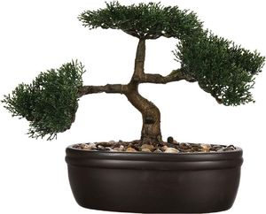 Atmosphera Drzewko bonsai w czarnej doniczce 23 cm 2