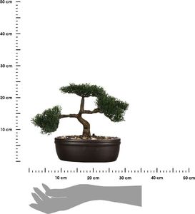 Atmosphera Drzewko bonsai w czarnej doniczce 23 cm 3