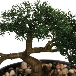 Atmosphera Drzewko bonsai w czarnej doniczce 23 cm 4