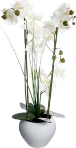 Atmosphera Orchidea w białej doniczce 53 cm 1
