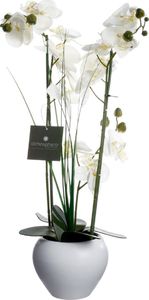 Atmosphera Orchidea w białej doniczce 53 cm 2