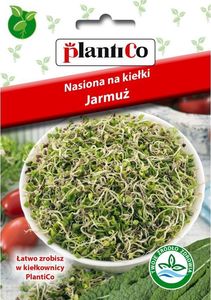 Plantico PLANTICO KIEŁKI - Jarmuż nasiona 5g 1