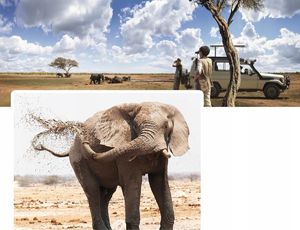 Luneta Kf Monokular Luneta 12x50 mm 12x50 Bak-4 Fmc 6