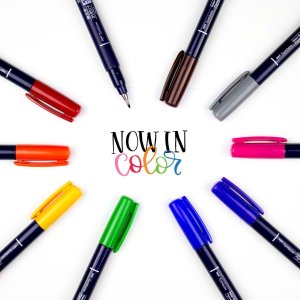 Tombow Flamastry Fudenosuke do kaligrafii mix 10 szt. 4