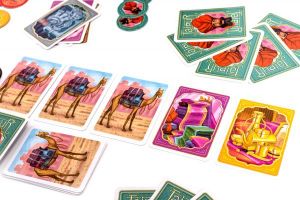 Rebel Gra Jaipur (0504) 6