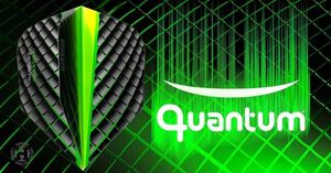 Harrows Piórka Harrows Quantum 6800 5