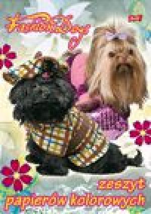 St. Majewski Zeszyt papierów kolorowych A4 10k Unipap p25 2