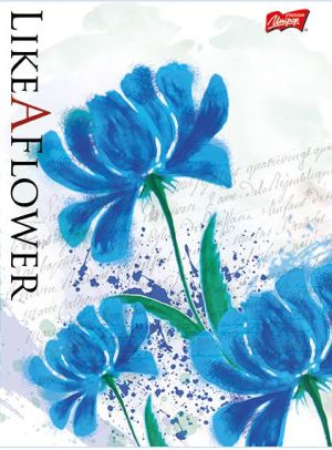 St. Majewski Brulion w półtwardej oprawie, format B5, 160 kartek, gładki, UNIPAP 2