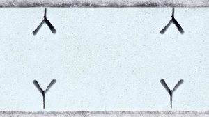 Sensillo MATERAC DZIECIĘCY SUPREME SEASONS 12060 (13cm) 7