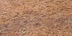 Sensillo MATERAC KOKOS-PIANKA 14070 (9cm) 5