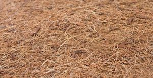 Sensillo MATERAC KOKOS-PIANKA-KOKOS CLASSIC 14070 (8cm) 3