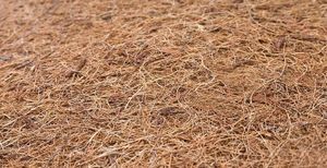 Sensillo MATERAC MEMORY PIANKA TERMOELASTYCZNA-KOKOS ALOE VERA 14070 (12cm) 6