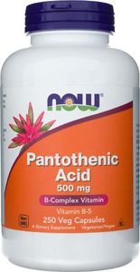 Quicksilver Now Foods Pantothenic Acid kwas pantotenowy 500 mg - 250 kapsułek 1