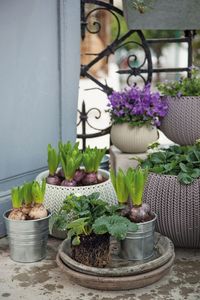 Keter Doniczka COZIES KNIT - S - brązowy 4