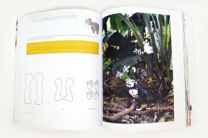 3Doodler Book - Książka projektów 3D do długopisu 3Doodler (jęz. ang.) (3DR2BK) 6