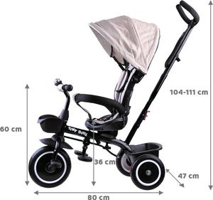 Tiny Bike Rowerek trójkołowy 3w1 z daszkiem (SP0650) 3