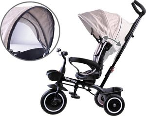 Tiny Bike Rowerek trójkołowy 3w1 z daszkiem (SP0650) 6