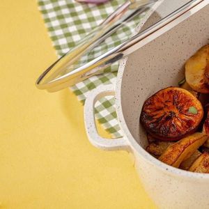 NAVA Brytfanka brytfanna granitowa TERRESTRIAL gęsiarka do pieczenia mięsa 38 cm 8L 10