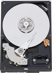 WD Dysk Twardy HDD WD Blue 1TB SATA 3.0 64 MB 7200 rpm 3,5" WD10EZEX 1