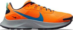 Nike Buty do biegania Nike Pegasus Trail 3 M DA8697-800, Rozmiar: 44 1