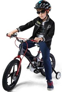 Royalbaby RoyalBaby Rower 14" Space Shuttle + pchacz RB14-22 6