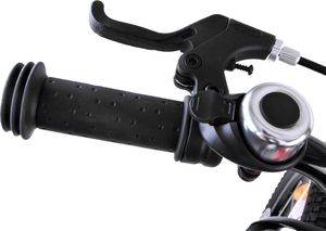 Royalbaby Rower dziecięcy Explorer 16" (CM16-3) 13