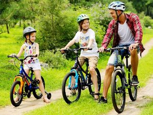 Royalbaby Rower dziecięcy Explorer 16" (CM16-3) 6