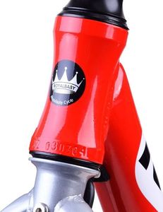 Rowerek biegowy Royalbaby Rower biegowy rama aluminiowa 12cal czerwony (RO0130) 11