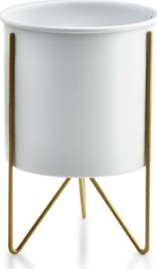 Mondex Osłonka Swen Cylindre Gold 23 cm 1