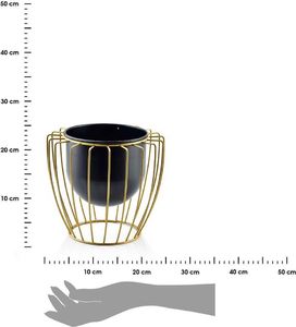 Mondex Osłonka Swen Black and Gold 22 cm 2