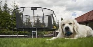 Trampolina ogrodowa Thunder ogrodowa Inside z siatką wewnętrzną 12.5 FT 374 cm 8